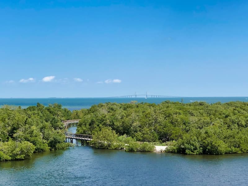 Mangrove waterway along the Gulf coast near Bradenton
