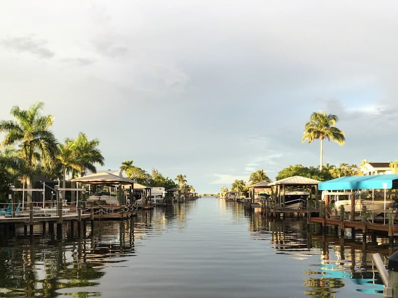 Waterfront canal with docks and palm trees